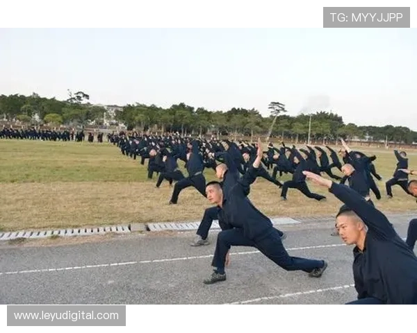 体能教练的训练方案：个性化计划如何针对不同运动员特点量身定制